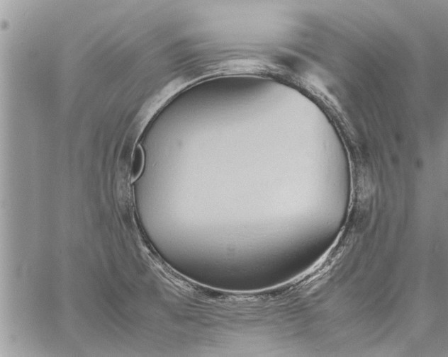 X0000060781473200511241807