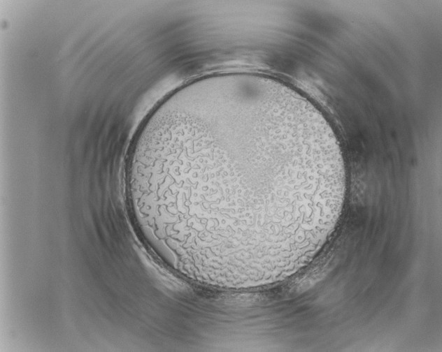 X0000060781474200511241807