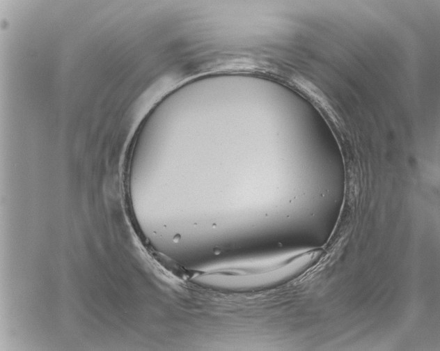 X0000060781475200511241807