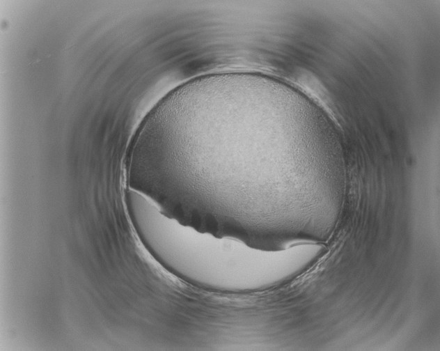 X0000060781476200511241807