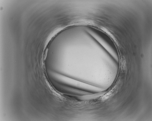 X0000060781477200511241807