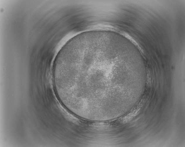 X0000060781478200511241807