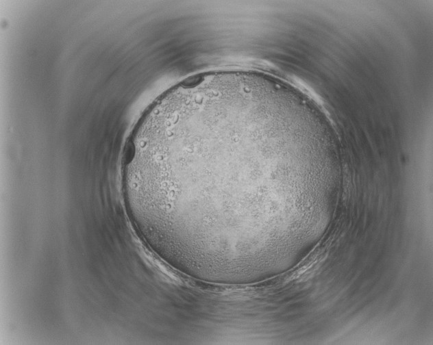 X0000060781480200511241807