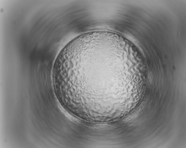 X0000060781482200511241807