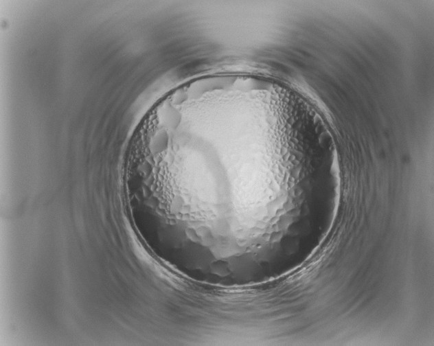 X0000060781483200511241807