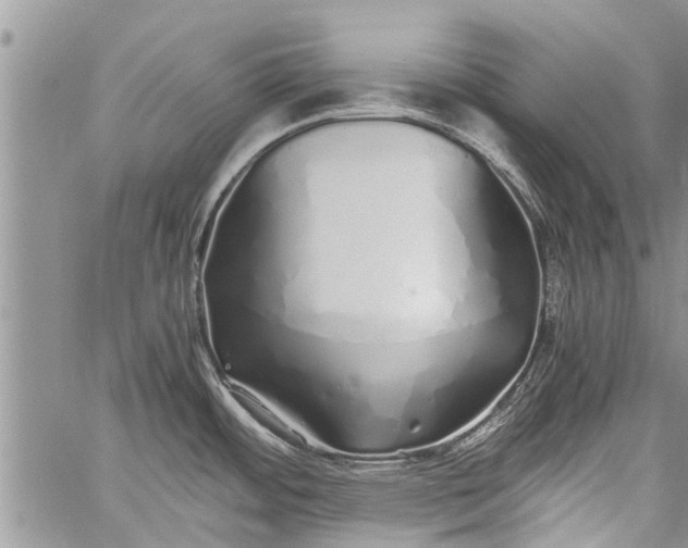 X0000060781484200511241807