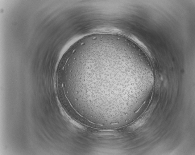 X0000060781486200511241807