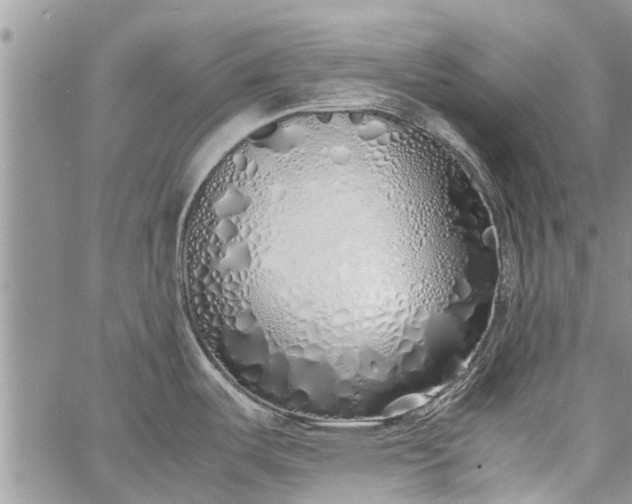 X0000060781487200511241807