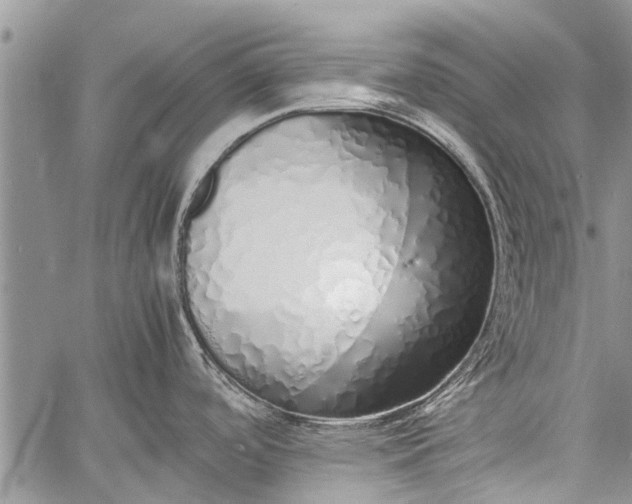 X0000060781488200511241807