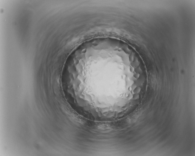 X0000060781489200511241806