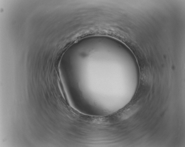 X0000060781490200511241806