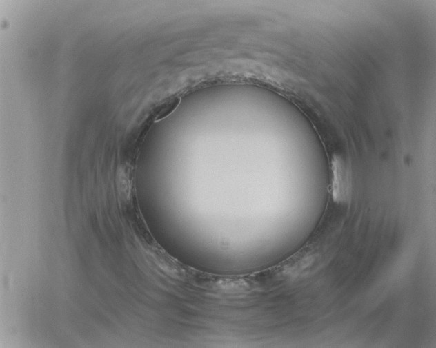 X0000060781491200511241806