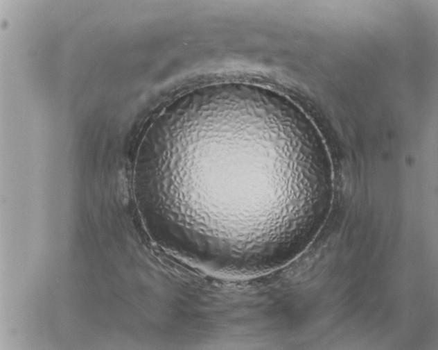 X0000060781493200511241806