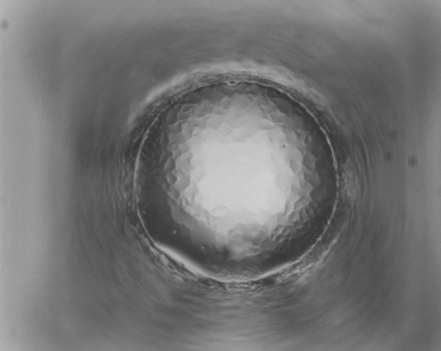 X0000060781494200511241806