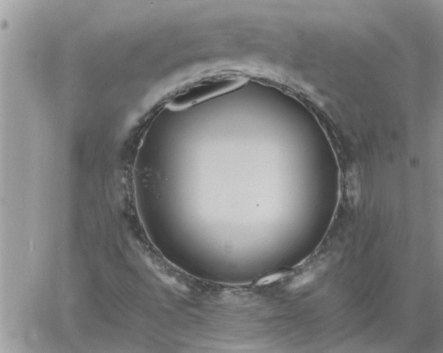 X0000060781496200511241806