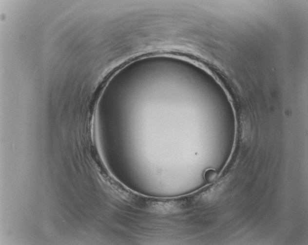 X0000060781497200511241806