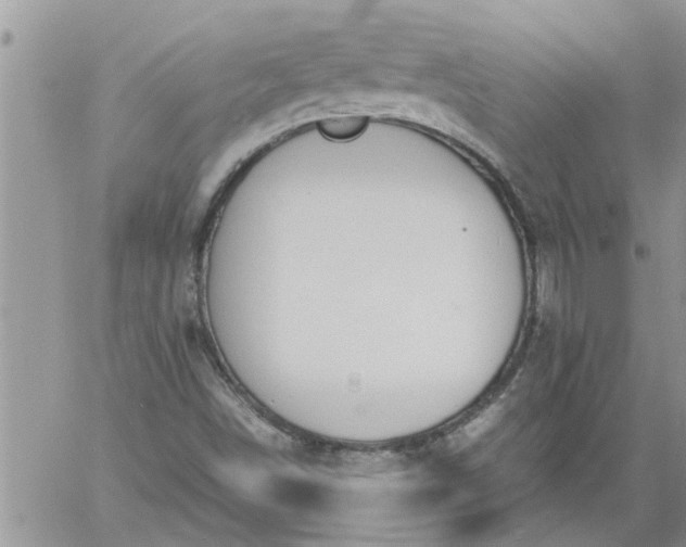 X0000060781498200511241806