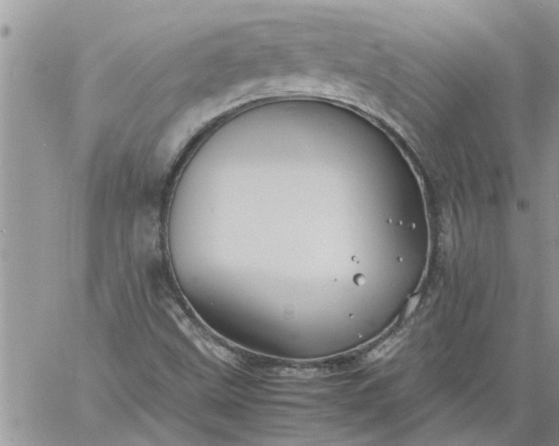 X0000060781499200511241806