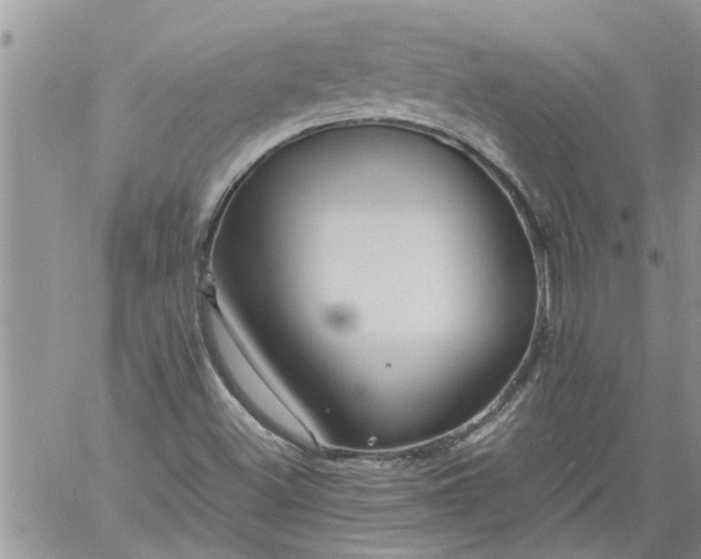 X0000060781500200511241806