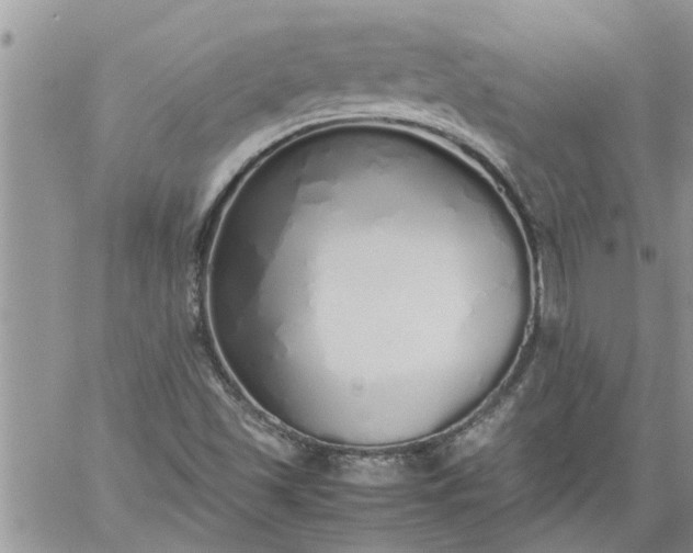 X0000060781501200511241806