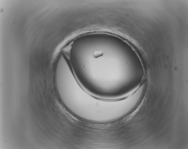 X0000060781502200511241806