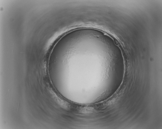 X0000060781503200511241806