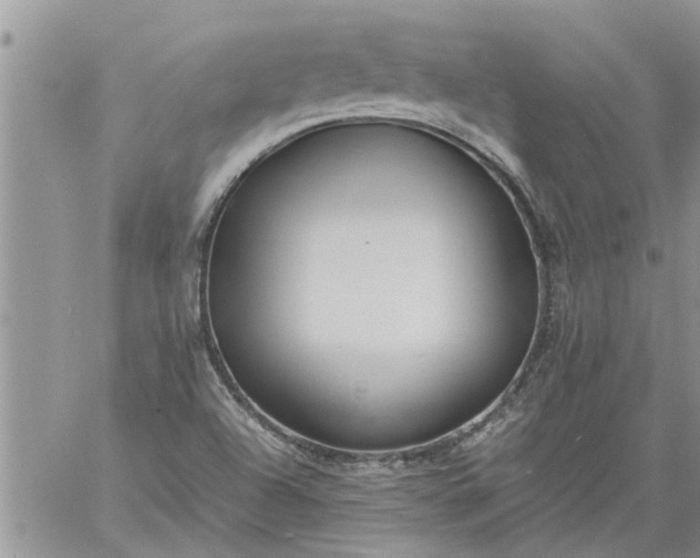 X0000060781504200511241806