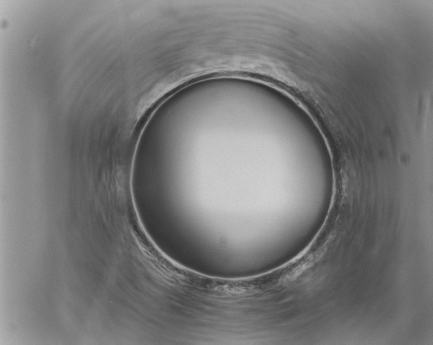 X0000060781505200511241806