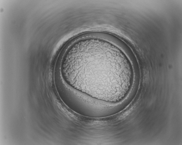 X0000060781506200511241806