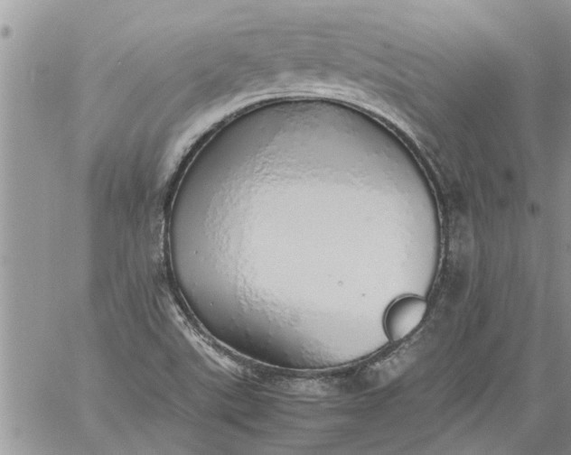 X0000060781507200511241806