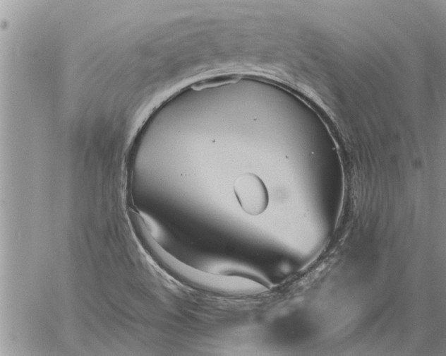 X0000060781508200511241806