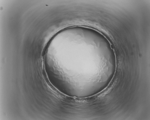 X0000060781509200511241806