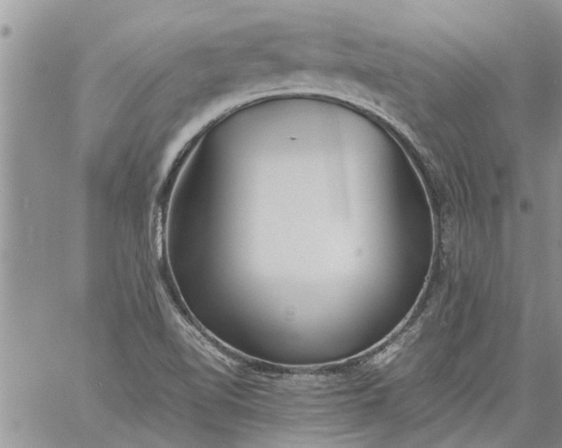 X0000060781510200511241806