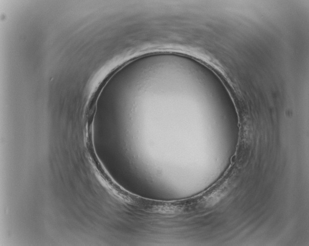 X0000060781511200511241806