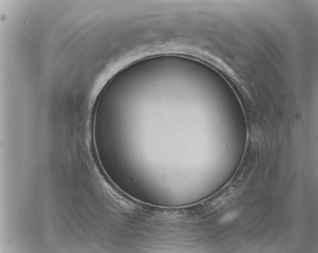 X0000060781512200511241806