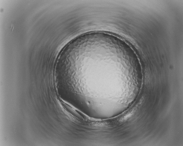 X0000060781513200511241806