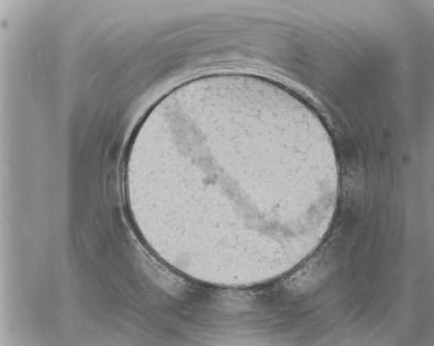 X0000060781514200511241806