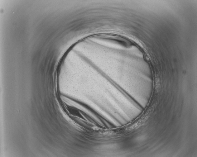 X0000060781515200511241806