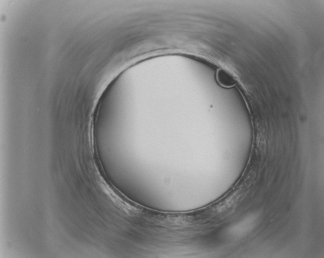 X0000060781516200511241806