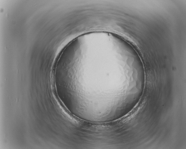 X0000060781517200511241806