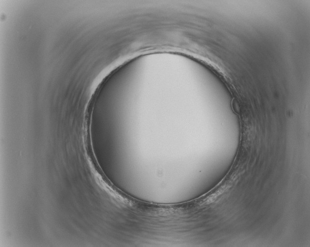 X0000060781518200511241806