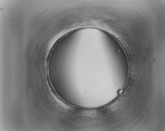 X0000060781519200511241806