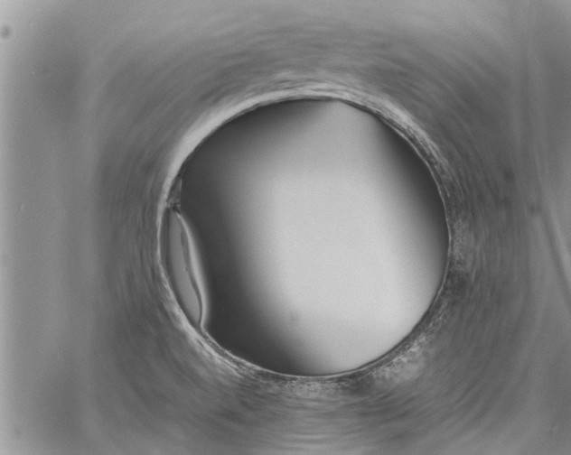 X0000060781520200511241806