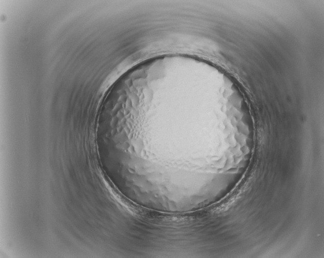 X0000060781521200511241806