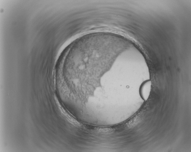 X0000060781522200511241806