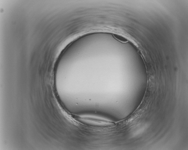 X0000060781523200511241806