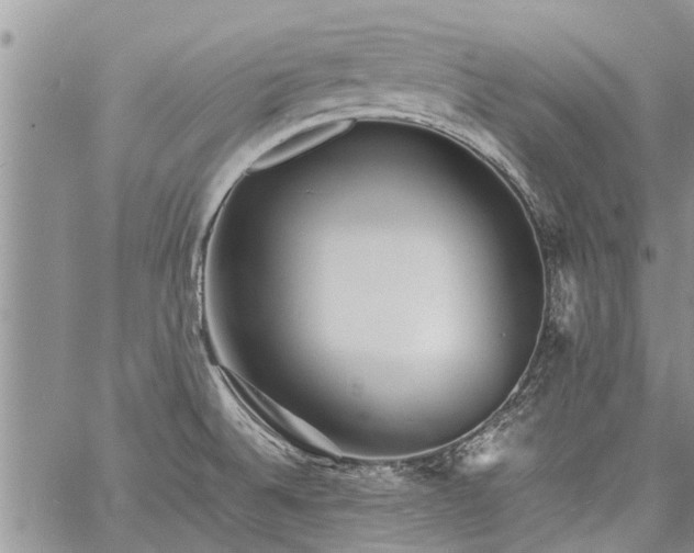 X0000060781524200511241806