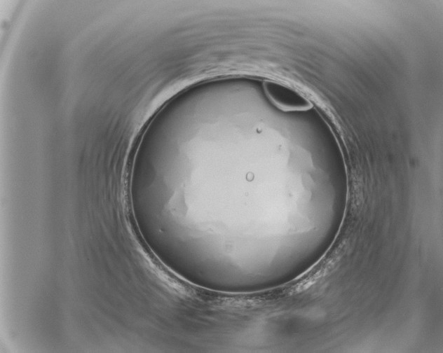 X0000060781525200511241806