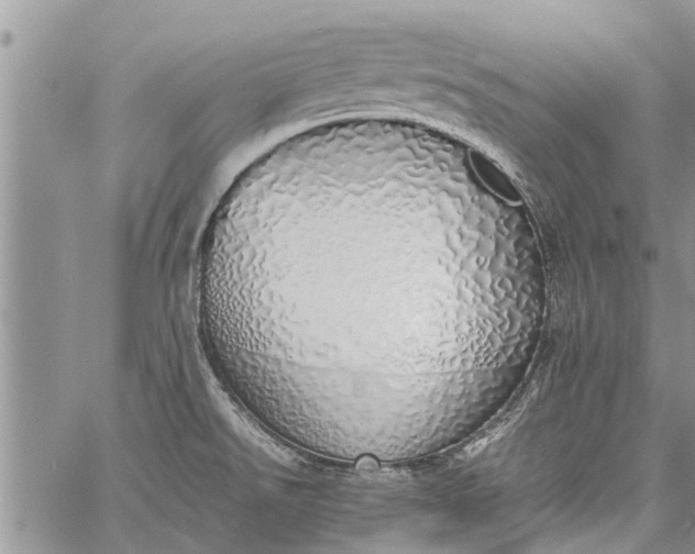 X0000060781526200511241806