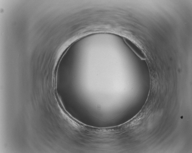 X0000060781527200511241806